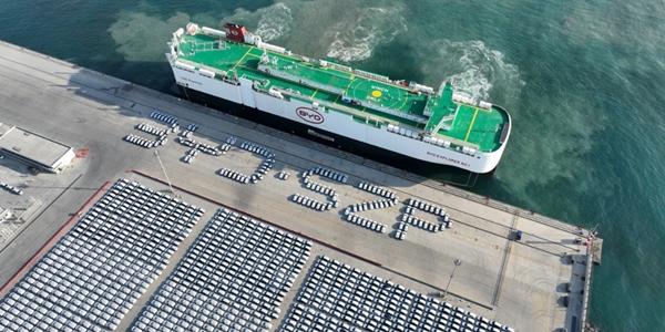 중국 친환경차 보상판매 정책 조정에 BYD 타격 전망   고가 전기차에 수혜 몰려 