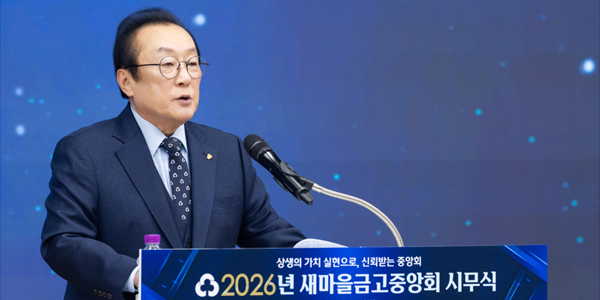 새마을금고  현미경 감독  나서는 금감원  김인 리스크관리 역량 시험대