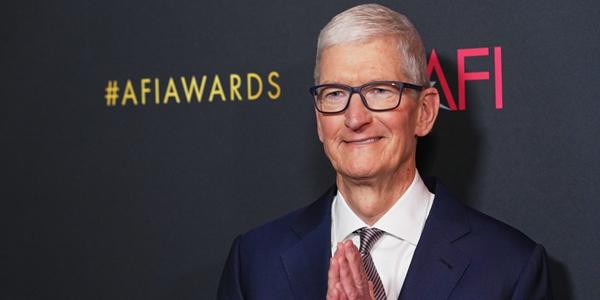 애플 주가 올해 35  상승 잠재력  AI 전략 펼칠 팀 쿡 CEO 유임이 촉매 