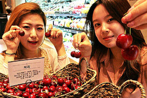 호주산 체리가 대형마트에 몰려온다