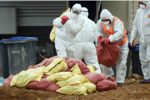 출발 불안했던 김재수, 조류인플루엔자 위기에 악전고투