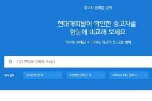 현대캐피탈, 우수 중고차 찾아내 추천하는 서비스 내놔