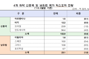 금감원 “국내 금융회사의 신흥국가 위험노출액은 견딜 수 있는 수준”