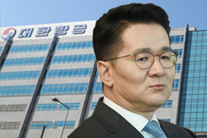 '<a href='https://www.businesspost.co.kr/BP?command=article_view&num=339363' class='human_link' style='text-decoration:underline' target='_blank'>서정진</a> 갑횡포'에 드는 의문, 대한항공 개인정보 관리는 안전한가