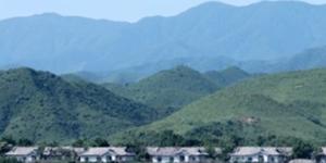 남북, 금강산 산림병해충 공동방제 위해 현장방문 