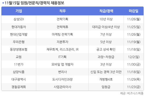 [11월15일] 비즈니스피플 임원/전문직/경력직 채용정보