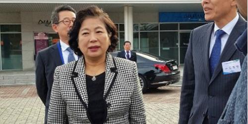 금강산관광 20주년 행사 북한에서 열려, 현정은 올해 세 번째 방북