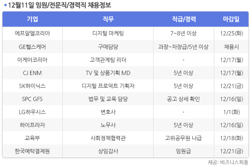 [12월11일] 비즈니스피플 임원/전문직/경력직 채용정보