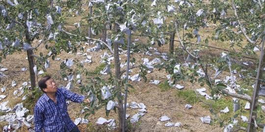 IBK기업은행, 이베이코리아와 3.1절 기념 할인행사 열어