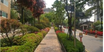 서울시, 미세먼지 저감 위해 나무 3000만 그루 심는다