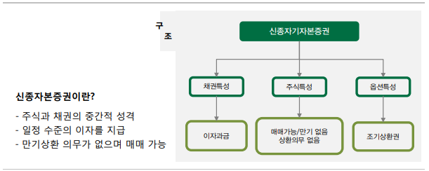 신종자본증권 부채로 기준 바뀌나, 금융권 부담 커질까 촉각 