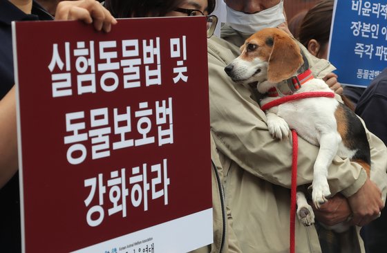 경찰, 교수 이병천의 동물학대 혐의로 서울대 압수수색