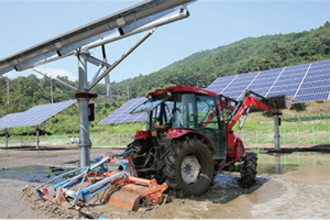 김병숙, 서부발전에서 효율높은 영농형 태양광발전기술 실증 추진