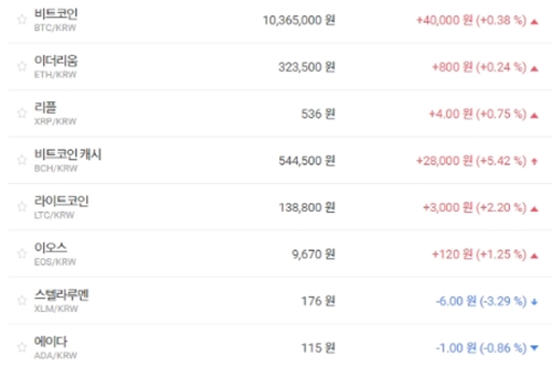 비트코인 1천만 원 안착 공방전, 주요 가상화폐는 강세 