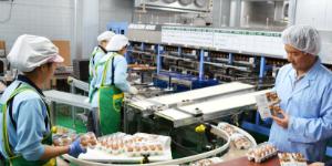 현대그린푸드, 알로팜과 손잡고 홍콩에 프리미엄 계란 수출