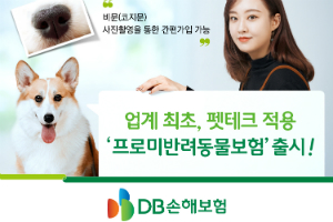 DB손해보험, 반려견 코 무늬로 가입하는 펫보험 처음 내놔