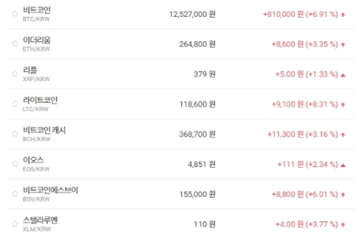 비트코인 1250만 원대 회복, 가상화폐 대체로 오름세