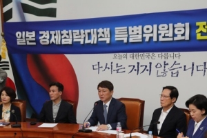 민주당 일본경제침략대책특위, 일본여행 규제 검토해달라 정부에 요청