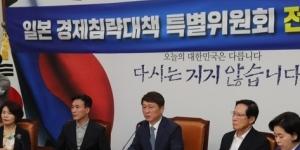 민주당 일본경제침략대책특위, 일본여행 규제 검토해달라 정부에 요청