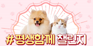 삼성카드, 동영상 플랫폼 '틱톡'과  반려동물 보호문화 확산 캠페인 