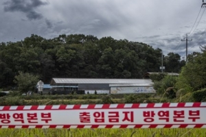 파주와 김포에서 돼지열병 추가 확진, 김현수 “긴장감 있게 방역해야”