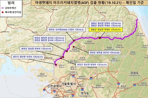 철원군 민통선 안 멧돼지에서 12번째 돼지열병 바이러스 검출