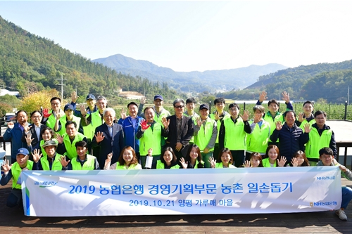 NH농협은행 부행장과 직원들, 농촌 찾아 일손 돕기 봉사 이어가 