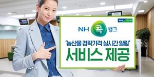 농협상호금융 실시간 경매 낙찰가격 서비스, 소성모 