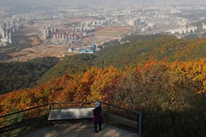 11월 첫째 주 대체로 맑아, 9일 강원 영동과 10일 대전 세종 충남에 비