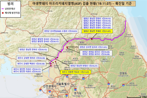 철원 파주 멧돼지 폐사체에서 돼지열병 바이러스 검출돼 모두 22건