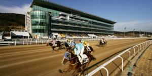 마사회 부산경남본부, 경주마 기수들과 조교사 선발제도 개편 협의 