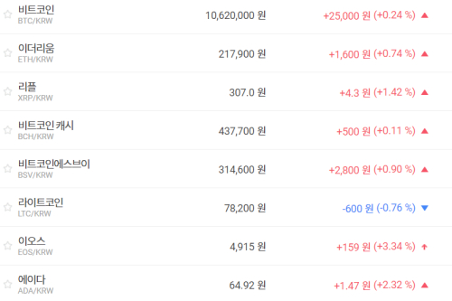 비트코인 1060만 원대 힘겨루기, 주요 가상화폐 시세 대체로 상승세