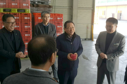 농협경제지주 농업경제 대표 김원석, 사과 산지 찾아 “소비대책 마련” 