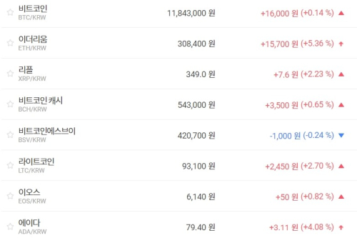비트코인 1180만 원대 지켜, 주요 가상화폐 시세 대체로 상승세