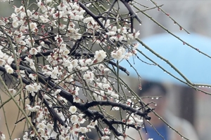 14일 봄처럼 포근한 날씨, 수도권 미세먼지 '나쁨' 예보