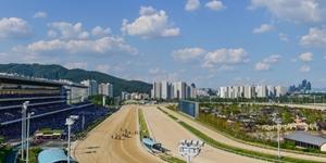 마사회 코로나19 재확산에 직원 교대로 휴업, 무관중 경마도 중단