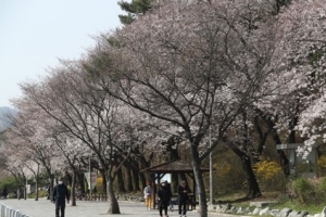 목요일 2일 아침은 춥고 낮은 포근, 서울 경기 대기 매우 건조 