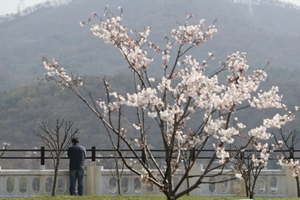 목요일 2일 낮은 기온 올라 일교차 커, 전국 미세먼지 보통