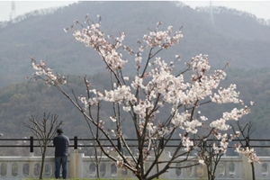 금요일 3일 전국 맑은 날씨, 아침 쌀쌀하고 낮 포근해 일교차 커 