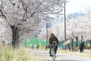 목요일 9일 아침 쌀쌀하고 낮은 포근, 전국 건조특보 이어져 