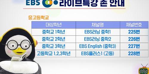 KT스카이라이프 EBS 특강 편성, 