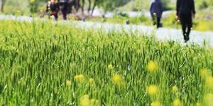 월요일 4일 전국 대체로 흐리고 더운 날씨, 일부 지역은 오후에 비 