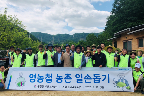 NH농협은행, 자매결연 마을 찾아 농촌 일손돕기 봉사활동