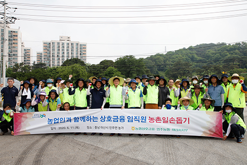 농협상호금융 마늘농가 일손돕기, 이재식 "농민에 활력 넣겠다"    