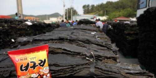 농심, 영화 기생충 효과로 너구리 판매 늘어 완도 햇다시마 경매 참여