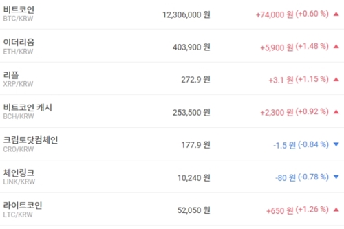비트코인 1230만 원대로 올라, 가상화폐 시세 상승이 약간 더 우세 