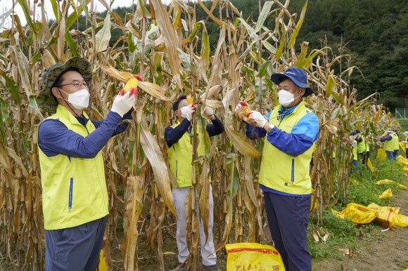 NH농협금융지주 봉사단, 수확기 맞아 홍천에서 농촌 일손돕기