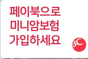 비씨카드, 페이북앱에서 AIG손해보험 월 1천 원대 미니암보험 내놔 