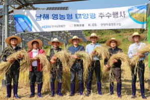 한화큐셀 남동발전, 영농형 태양광발전 시범단지에서 추수행사