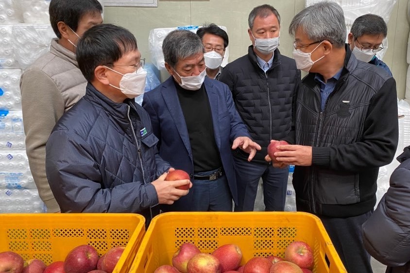 농협경제지주 사과 수확상황 점검, 장철훈 “농산물 제값받기 최선”